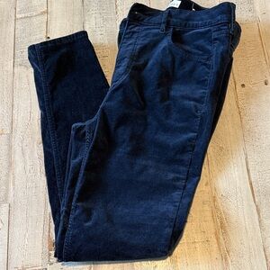 LOFT Navy Skinny Pants